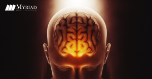 Cerebro Rayos X