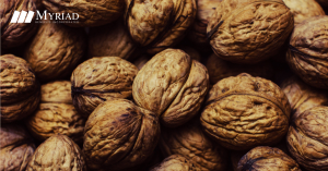 Nueces