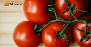 tomates