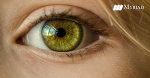 Ojos y párpados