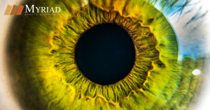 Close Up del ojo