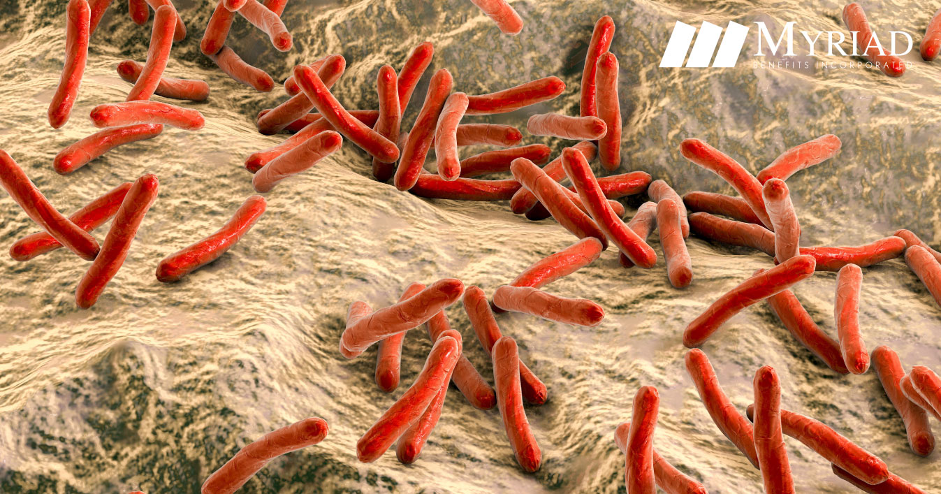Bacteria de la lepra dentro del cuerpo humano