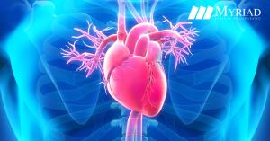 Anatomía del corazón humano