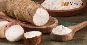 Tapioca / Yuca