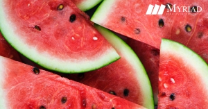 Melón o Sandía