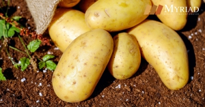 papas