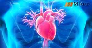 corazon