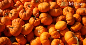 calabaza
