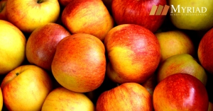manzanas