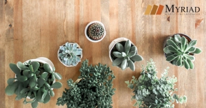 plantas