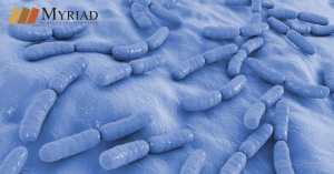 Bacterias