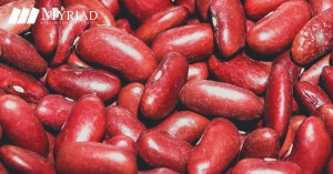 habichuelas