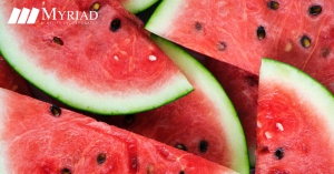 rebanadas de melón