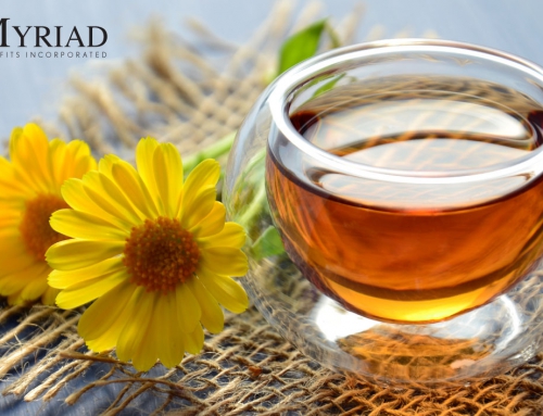 Miel de abeja: 10 beneficios y propiedades de este alimento