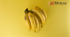 banana guineo