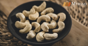 cashew