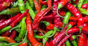 chiles