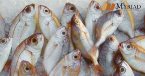 mariscos