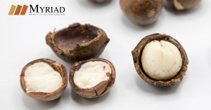 macadamia