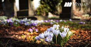 flores en una lápida