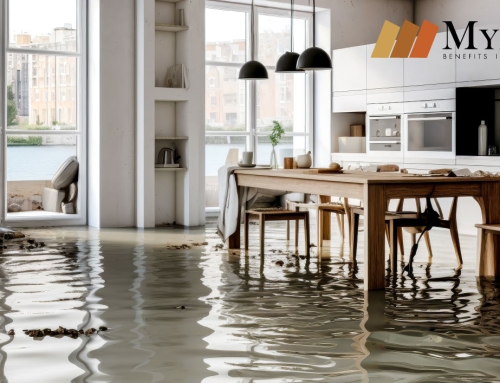 <strong>Seguro de Inundación, ¿lo necesito? </strong>